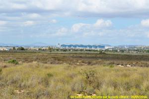 29 DE SANTA POLA A ALICANTE (71)
